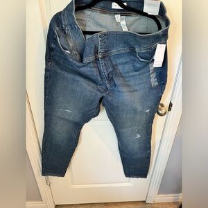 Lane Bryant Flex Magic Waistband Jegging NWT